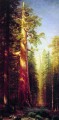 The Great Trees Albert Bierstadt